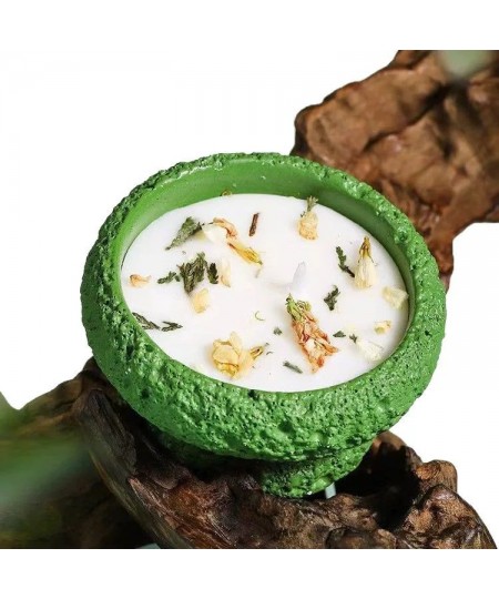 Plant-based Soy Wax ...