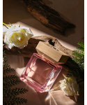 Serene Timber Home Diffuser, Long Lasting Woody Scent Room Fragrance for Indoor Ambiance & Gift