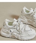 New Style Chunky Sports Shoes
